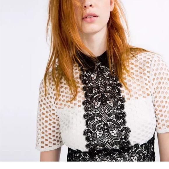 Gorgeous Zara black and white giupure lace dress - Picture 3 of 9